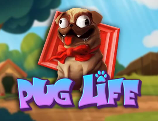 Pug Life